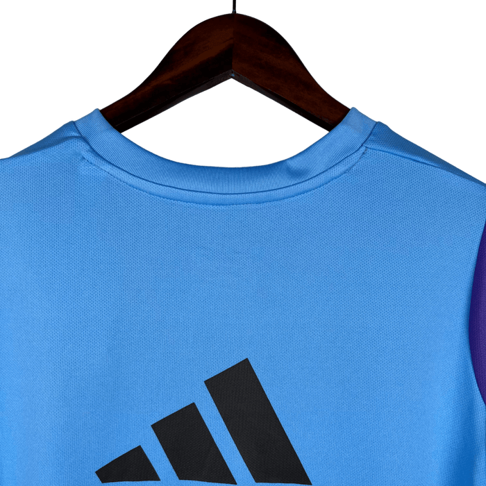 Argentina 2023 Vest Entrenamiento Usar Azul - CAMISETAS4ALL