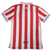 Chivas Guadalajara 100th Anniversary - CAMISETAS4ALL